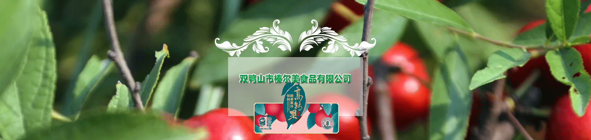 產品展示